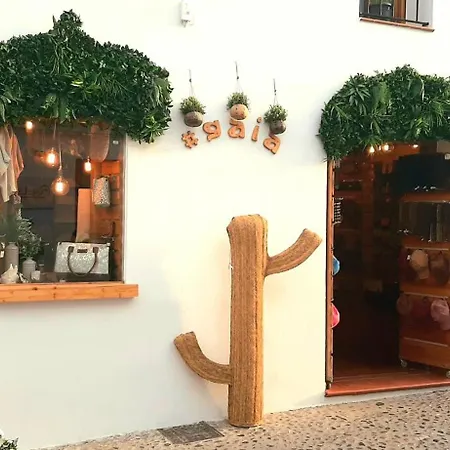 Nolan House 알테아